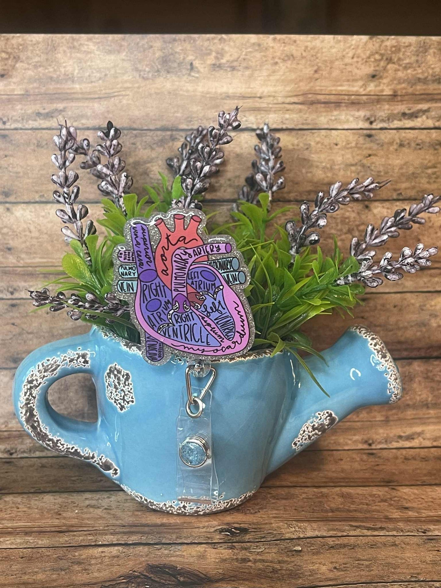 Anatomical Heart